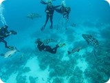 IMG_0405