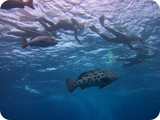 IMG_0087