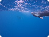 IMG_0234