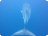 IMG_0298
