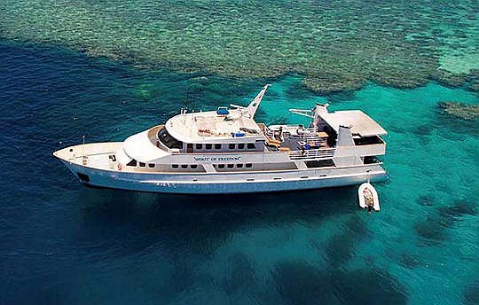 Image result for mv spirit of freedom