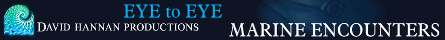 David Hannan Productions & Eye to Eye Marine Encounters